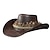 billige Historiske kostymer og vintagekostymer-18. århundre 1800-tallet delstaten Texas Cowboyhatt West Cowboy amerikansk Herre Dame Hatt