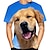 preiswerte Neuheiten, lustige Hoodies und T-Shirts-Tier Hund Golden Retriever T-Shirt-Ärmel Anime 3D Grafik Für Paar Herren Damen Erwachsene Maskerade 3D-Druck Casual