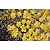 お買い得  花/植物画-手作りの油絵 キャンバス ウォールアート 装飾 オリジナル 咲く黄色い桜の絵 抽象的な花の絵 家の装飾用 ストレッチフレーム付き/インナーフレームなしの絵画