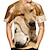 billiga nyhet roliga hoodies &amp; t-shirts-Djur Hund golden retriever T-shirt Anime 3D Grafisk Till Par Herr Dam Vuxna Maskerad 3D-utskrift Ledigt / vardag
