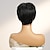 Χαμηλού Κόστους Περούκες από Ανθρώπινη Τρίχα Χωρίς Κάλυμμα-Φυσικά μαλλιά Περούκα Κοντό Ίσιο Με αφέλειες Μαύρο Γυναικεία Μαλακό Μοντέρνα Χωρίς κάλυμμα Βραζιλιάνικη Γυναικεία Μαύρο 8 Ίντσες Πάρτι / Βράδυ Καθημερινά Καθημερινά Ρούχα