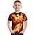voordelige jongens 3d t-shirts-Jongens 3D Grafisch dier Feniks T-shirt Korte mouw 3D-afdrukken Zomer Actief Fantasie Polyester Rayon Kinderen 3-12 jaar