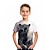 Недорогие 3d футболки мальчика-Мальчики 3D Графика Животное Волк Футболка С короткими рукавами 3D печать Лето Весна Активный Спорт Мода Полиэстер Дети 3-12 лет на открытом воздухе Повседневные Стандартный
