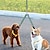 cheap Dog Collars, Harnesses &amp; Leashes-Walk &amp; Train Your Small &amp; Medium Dogs Easily with This Reflective Double Dog Leash