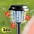billige Indretnings- og natlamper-1/2 stk bug zapper udendørs solcelle myggefælde dræber lampe uv led elektrisk vandtæt anti mygge lys have græsplæne myggefælde