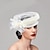 Χαμηλού Κόστους Fascinators-fascinators kentucky derby καπέλο καπέλο φτερά δίχτυ κουβάς καπέλο γάμου ειδική περίσταση γυναικεία ημέρα μελβούρνης κύπελλο κοκτέιλ με καπέλο φιόγκους καπέλα κεφαλής