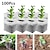 cheap Plant Care Accessories-Biodegradable Nonwoven Fabric Nursery Plant Grow Bags Seedling Growing Planter Planting Pots Garden Eco-Friendly Ventilate Bag