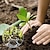halpa kasvinhoitotarvikkeet-biohajoava kuitukangas taimitarhan kasvinviljelykassit taimikasvattaja istutusruukut puutarha ympäristöystävällinen tuuletuskassi