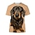 Недорогие новые забавные толстовки и футболки-Животный принт Собака Такса Как у футболки Аниме 3D Графический Назначение Для пары Муж. Жен. Взрослые Маскарад 3D печать На каждый день