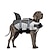 Недорогие Одежда для собак-Спасательный жилет для собак из рипстопа, плавучий жилет для домашних животных, спасательный жилет, купальный костюм русалки, спасательный жилет для защиты от акул, для безопасности на воде в