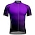 cheap Men&#039;s Clothing Sets-21Grams Men&#039;s Cycling Jersey Short Sleeve Bike Top with 3 Rear Pockets Mountain Bike MTB Road Bike Cycling Breathable Moisture Wicking Reflective Strips Back Pocket Violet Yellow Red polychrome Gradie