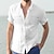 cheap Cotton Linen Shirt-Men&#039;s Shirt Summer Shirt Beach Shirt Light Blue White Green Long Sleeve Solid Color Collar Summer Spring Work Street Clothing Apparel