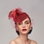 cheap Fascinators-Black Funeral Hat Feather Net Pillbox Fascinators Hats Headwear with Feather Floral 1PC Special Occasion Horse Race Ladies Day Headpiece