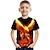 tanie chłopięce koszulki 3D-Dla chłopców 3D Graficzny Zwierzę Feniks Podkoszulek Krótki rękaw Druk 3D Lato Aktywny Fantazja Poliester Jedwab wiskozowy Dzieci 3-12 lat