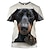 お買い得  ノベルティの面白いパーカーと T シャツ-動物 犬 ダックスフント Tシャツ グラフィック Tシャツ のために 男性用 女性用 ユニセックス 大人用 3D プリント カジュアル デイリー キュート 面白い ギフト