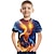 tanie chłopięce koszulki 3D-Dla chłopców 3D Graficzny Zwierzę Feniks Podkoszulek Krótki rękaw Druk 3D Lato Aktywny Fantazja Poliester Jedwab wiskozowy Dzieci 3-12 lat