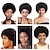 cheap Human Hair Capless Wigs-Remy Human Hair Wig Afro Curly Side Part Natural Designers African American Wig Capless Chinese Hair Women&#039;s Black 6 inch Party Party Evening Party / Evening