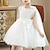 cheap Floral Dresses-Kids Girls&#039; Dress Sequin Butterfly Sleeveless Performance Cute Polyester Summer 4-13 Years White Champagne