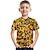 cheap Boy&#039;s 3D T-shirts-Kids Boys&#039; T shirt Tee Short Sleeve Graphic 3D Print Kid Top Optical Illusion Daily Outdoor Active Streetwear Sports Summer Tee 3-12 Years