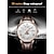 お買い得  機械式腕時計-男性用機械式時計ビジネス高級アナログ腕時計カレンダー自動巻き自動巻きムーンフェイズ防水夜光本革時計ギフト