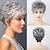 cheap Older Wigs-Wig for Women Synthetic Short Wig with Bangs Mixed Gray Hair High Temperature Fiber Heat Resistant Hair Daily Use Wigs