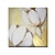 economico Quadri fiori/botanica-Dipinto ad olio su tela con fiore ricco dorato 100% fatto a mano Cuadros immagini da parete per soggiorno telaio allungato