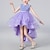 Χαμηλού Κόστους Φορέματα για πάρτι-παιδικό κοριτσίστικο φόρεμα παγιέτα τούλι φόρεμα midi φόρεμα performance πούλιες πλήρωμα λαιμόκοψη αμάνικο κομψό φόρεμα 3-13 ετών καλοκαιρινό χρυσό