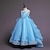 preiswerte Kleider-grenzüberschreitendes beliebtes Kinderkleid für den Außenhandel Mesh-Prinzessin flauschiges Hochzeitskleid Nagelkorn Drag Tail langes Kleid Mädchen Abendkleid