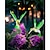 ieftine Fâșii LED-Lumini solare pentru pasăre colibri 5m 20 leduri în aer liber lumini zâne impermeabile grădină de Crăciun petrecere de nuntă copac de grădină decorare peisaj balcon