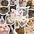 cheap Stickers-50 Popular Cute Cat Funny Pack Cat &amp; Plant Graffiti Sticker Waterproof Stickers For Laptops Water Bottles Helmets Luggage