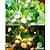 Χαμηλού Κόστους LED Φωτολωρίδες-ηλιακά φωτάκια κορδόνι κολιμπρί 5m 20leds εξωτερικού χώρου αδιάβροχα νεράιδα φωτάκια χριστουγεννιάτικος κήπος πάρτι γάμου κήπου δέντρο μπαλκονιού διακόσμηση τοπίου