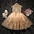 olcso Alkalmi ruhák-gyerek lány party ruha egyszínű ujjatlan előadás hálós hercegnő édes hálós lábszár közepéig tartó ruha tüll ruha nyár tavasz ősz 2-12 éves pezsgő