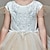 cheap Party Dresses-Kids Girls&#039; Party Dress Solid Color Sleeveless Performance Wedding Mesh Princess Sweet Mesh Mid-Calf Sheath Dress Tulle Dress Flower Girl&#039;s Dress Summer Spring Fall 2-12 Years White Champagne