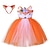 cheap Movie &amp; TV Theme Costumes-Animals Fox Dress Flower Girl Dress Tulle Dresses Girls&#039; Movie Cosplay Cosplay Red Fuchsia Orange Children&#039;s Day Masquerade Dress