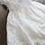 abordables Robes à Fleurs pour Filles-Robe de Demoiselle d&#039;Honneur Fille Fille Robe Robe de princesse Robe de fête Ecole Formel Mariage Elégant Décontractées Imprimer Garniture en dentelle Couleur Pleine Sans Manches Col Ras du Cou