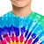 billige drenges 3d t-shirts-Børn Drenge T-shirt T-shirt Grafisk Batikfarvet Kortærmet Crewneck Børne Top udendørs 3D-udskrivning Sport Mode Sej Sommer Blå 2-13 år