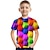 tanie chłopięce koszulki 3D-Dzieci Dla chłopców Podkoszulek Krótki rękaw Tęczowy Druk 3D Wzór 3D Kolorowy blok Szkoła Codzienny w pomieszczeniach Aktywny Moda miejska Sport 3-12 lat / Lato