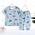 billige Pyjamas-Baby Drenge 2 Dele Pyjamas sæt Kortærmet Hvid Lyserød Navyblå Dyr Tegneserie Crewneck Sommer Forår Basale Hjem 3-7 år