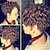 cheap Crochet Hair-Marlybob Braiding Hair Hook Braids Afro Kinky Curly Crochet Braids Passion Twist Organic Hair Tress For Hair Extensions