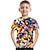 ieftine tricouri 3d pentru băieți-Copii Băieți Tricou Manșon scurt Curcubeu Tipărire 3D 3D Print Bloc Culoare Școală Zilnic Interior Activ Șic Stradă Sport 3-12 ani / Vară
