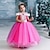 cheap Movie &amp; TV Theme Costumes-Fairytale Princess Dress Flower Girl Dress Girls&#039; Movie Cosplay A-Line Slip Christmas Yellow Fuchsia Dress Christmas World Book Day Costumes