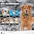 abordables Colliers de dressage-1640ft collier de dressage pour chien étanche télécommande rechargeable 3 modes bip vibration choc type c port de charge verrouillage du clavier