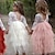 voordelige Jurken-Kids meisjes roze party prinses bloem kant geschulpte tule terug backless tutu top randen gelaagde meisje jurk