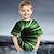 cheap Boy&#039;s 3D T-shirts-Kids Boys&#039; T shirt Tee Short Sleeve Graphic Optical Illusion Color Block Rainbow Children Tops Summer Active Streetwear Sports 3-12 Years