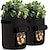 halpa kasvien viljelykassit-2kpl perunanviljelykassit 4/7/10 gallona puhallettava vedenpitävä kangas bataattinistutuskone ikkuna vihannes maapähkinäkasvauslaatikko lastentarhan puutarhaämpäri