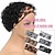 preiswerte Hochwertige Perücken-Stirnband-Perücke, Echthaar, kurz, lockig, Pixie-Schnitt, Stirnband-Perücken für schwarze Frauen, Echthaar-Halbperücken, 150 % Dichte, natürliches Schwarz, 15,2 cm