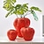 baratos Vasos &amp; Cesto-vaso de decoração de morango vermelho fofo material de resina criativa vaso de artesanato feito à mão adequado para hidroponia de flores em casa e restaurante decoração de flores