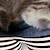 お買い得  女の子の 3d T シャツ-女の子 3D グラフィック カートゥン 猫 Tシャツ Ｔシャツ 半袖 3Dプリント 夏 春 活発的 ファッション かわいいスタイル ポリエステル 子供 3〜12年 アウトドア カジュアル 日常 レギュラー