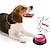 economico Addestramento e accessori educativi per cani-pulsante di comunicazione per animali domestici addestramento della casella vocale del cane giocattolo parlante registrazione altoparlante casella di compressione vocale