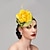 ieftine Pălării &amp; Fascinatoare-Palarioare / Palarie / Veșminte de cap cu Floral 1 buc Ocazie specială / Ziua Doamnelor / Cupa Melbourne Diadema